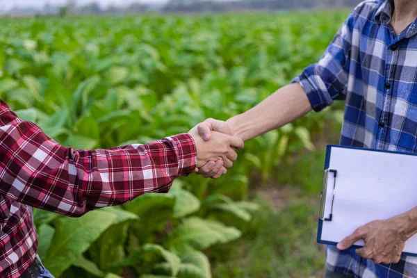 agricultura-por-contrato
